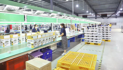 鹽城濱海 在產業(yè)攀高的賽道上奮力奔跑的家用電器產業(yè)